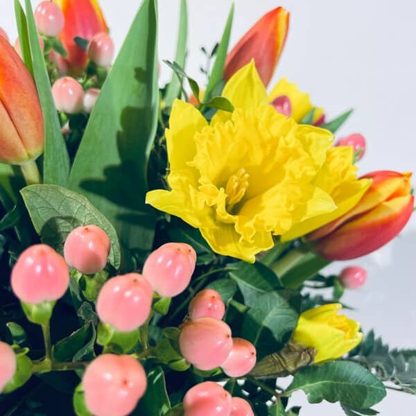 Bouquet Salsa de tulipes et jonquilles