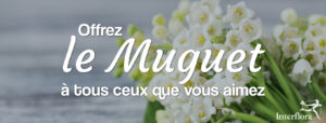 1 mai offrir du muguet