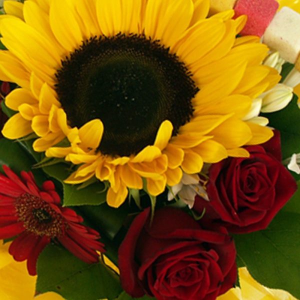 bouquet tournesol et roses