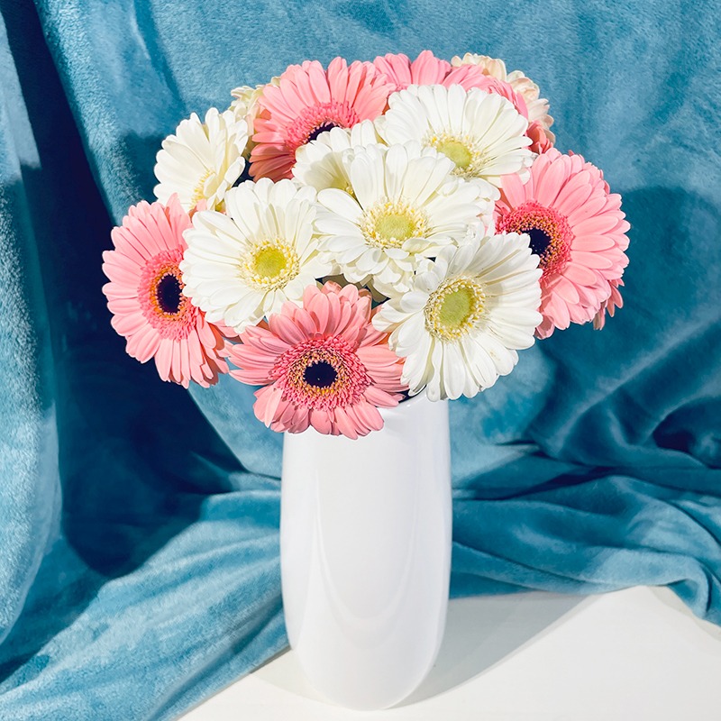 Bouquet de Germinis multicolores - Pastel - Plus de Fleurs