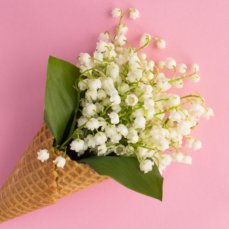 muguet à offrir