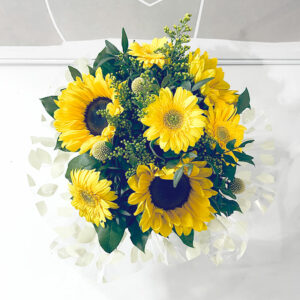 oh tournesol bouquet bulle d'eau jaune soleil