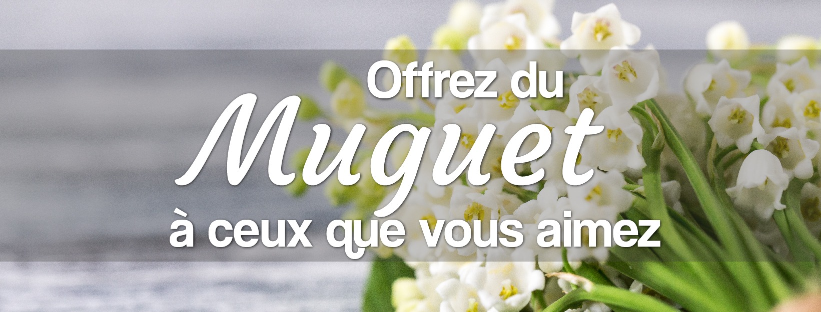 Le 1 mai et le muguet porte bonheur