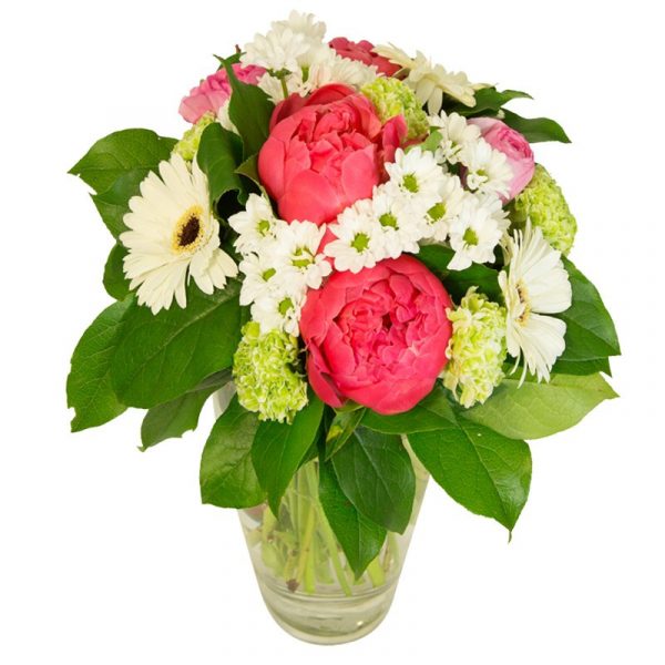 happy pivoine