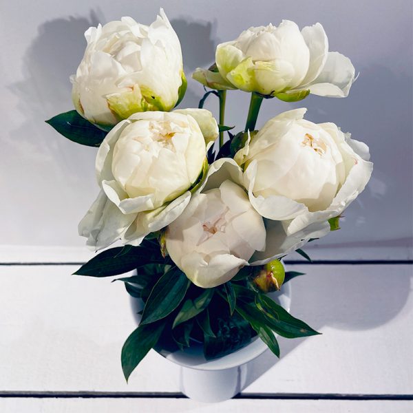 pivoines blanches 5 fleurs