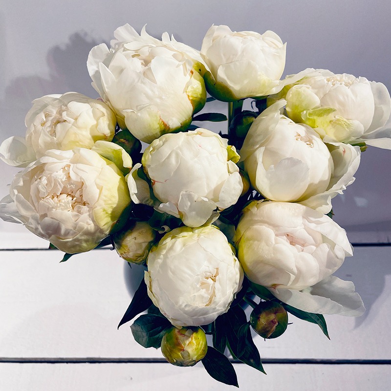 Bouquet de pivoines blanches - Plus de Fleurs