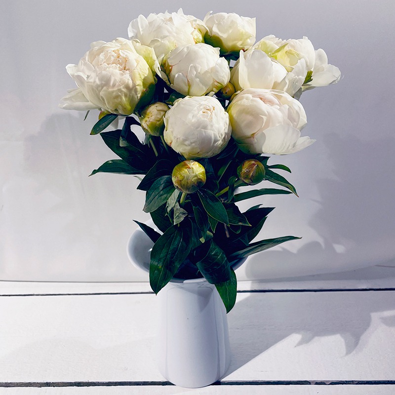 Bouquet de pivoines blanches - Plus de Fleurs