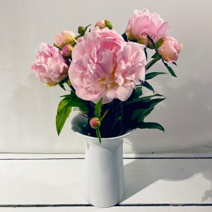 pivoines rosées 9 fleurs