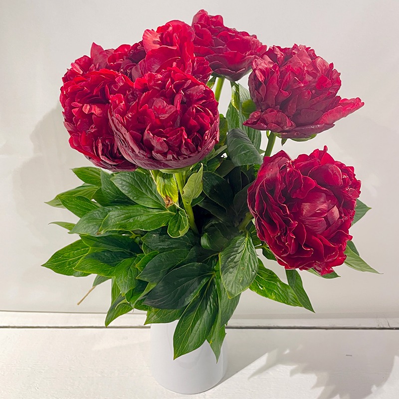 Bouquet de pivoines rouges - Plus de Fleurs