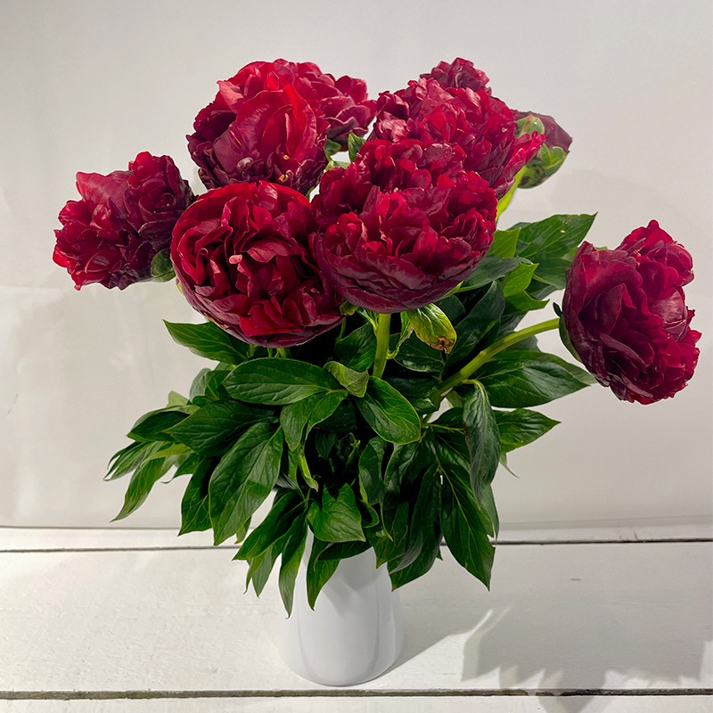 Bouquet de pivoines rouges - Plus de Fleurs
