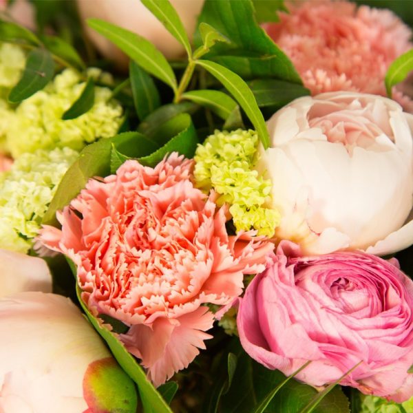 tendre bisou pivoines