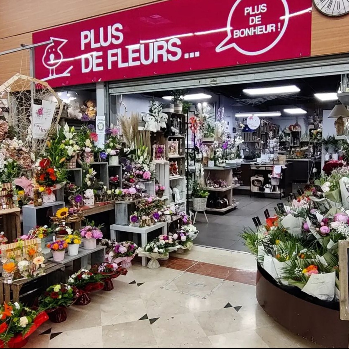 chatte magasin fleurs