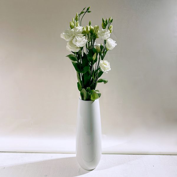 lisianthus blanc 5 fleurs