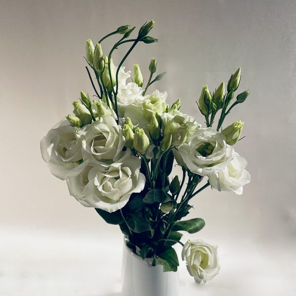 lisianthus blanc 5 fleurs