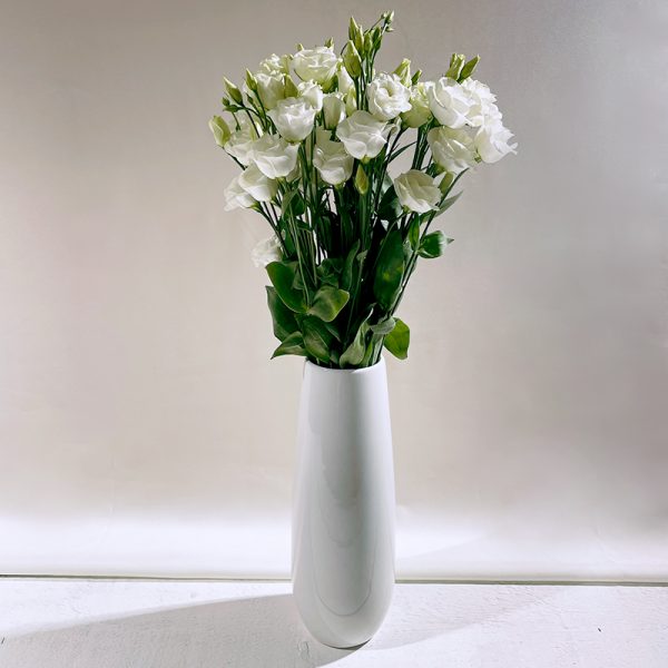 lisianthus blanc 7 fleurs