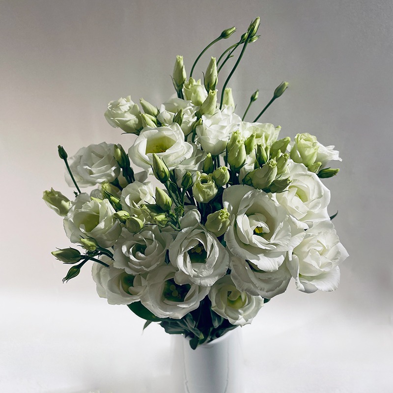Bouquet de Lisianthus blancs - Plus de Fleurs