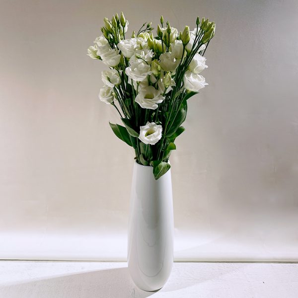 lisianthus blanc 9 fleurs
