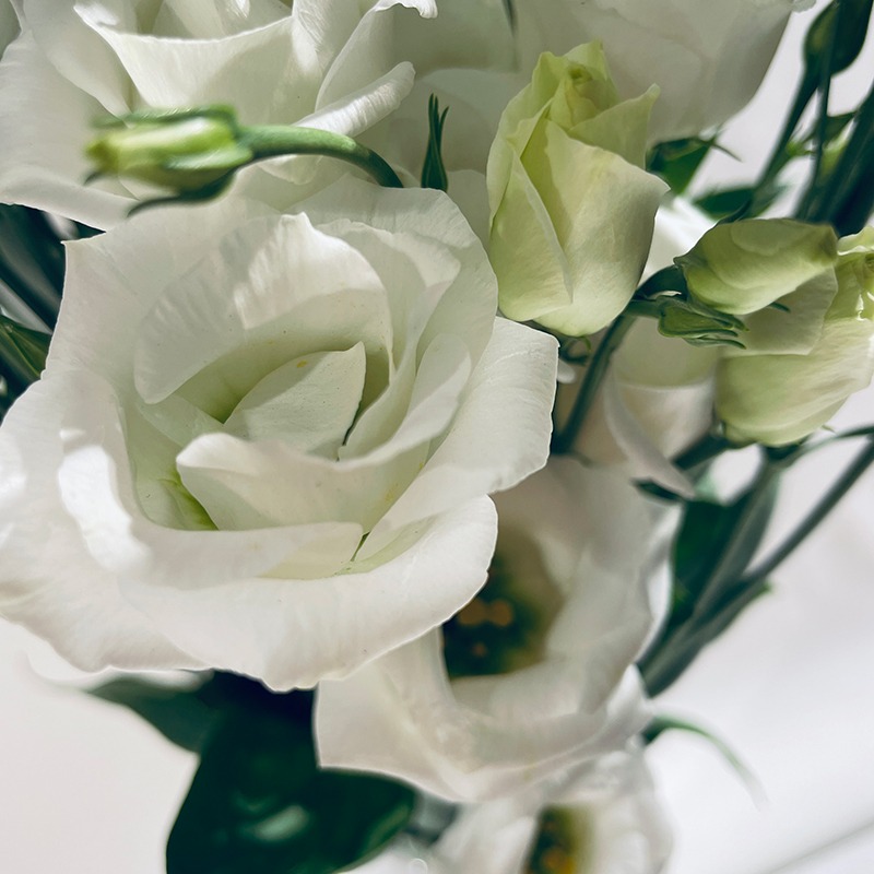 Bouquet de Lisianthus blancs - Plus de Fleurs