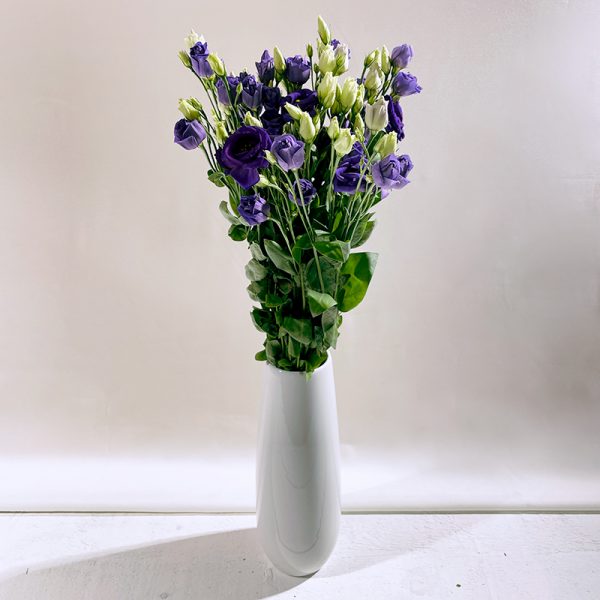 lisianthus bleu 5 fleurs