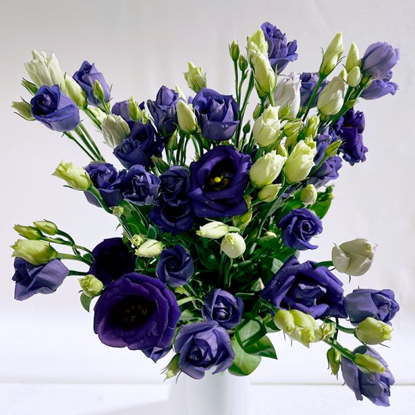 lisianthus bleu 7 fleurs