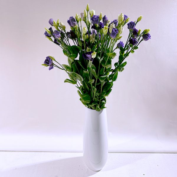 lisianthus bleu 7 fleurs