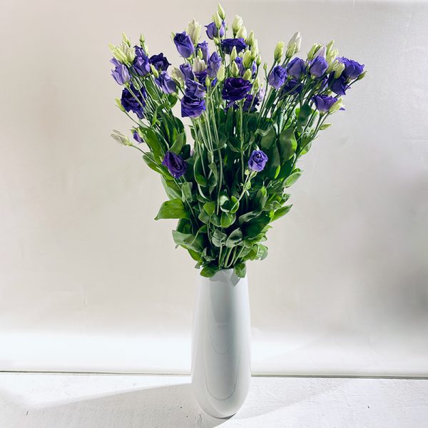 lisianthus bleu 9 fleurs