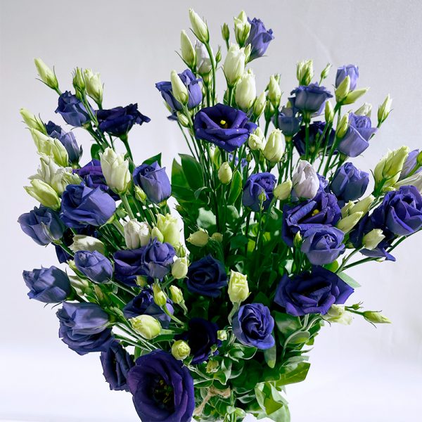 lisianthus bleu 9 fleurs