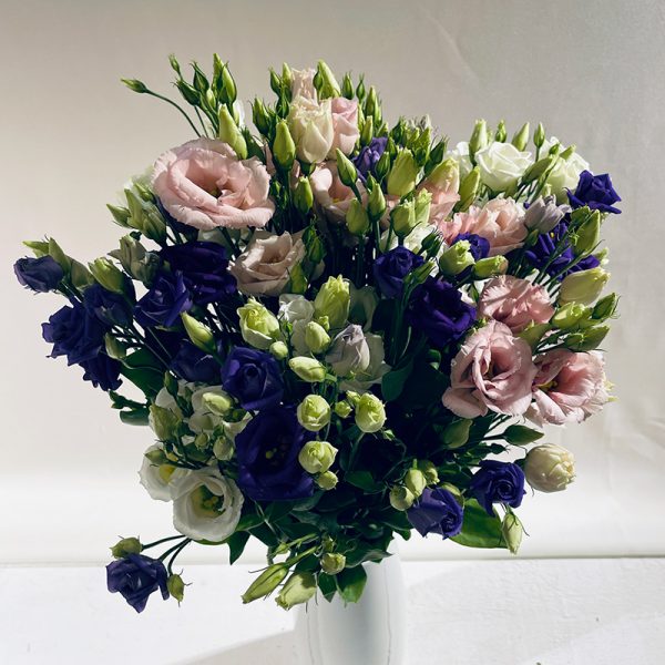 lisianthus multicolor 9 fleurs