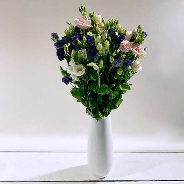 lisianthus multicolor 9 fleurs