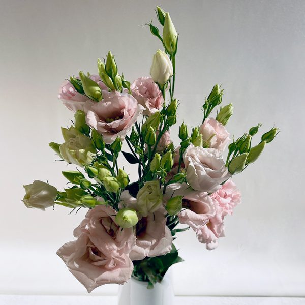 lisianthus roses 5 fleurs