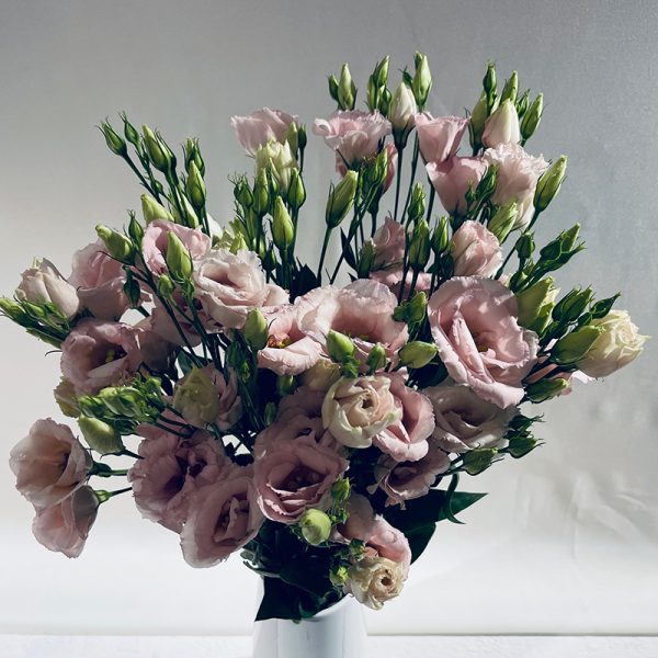 lisianthus roses 9 fleurs