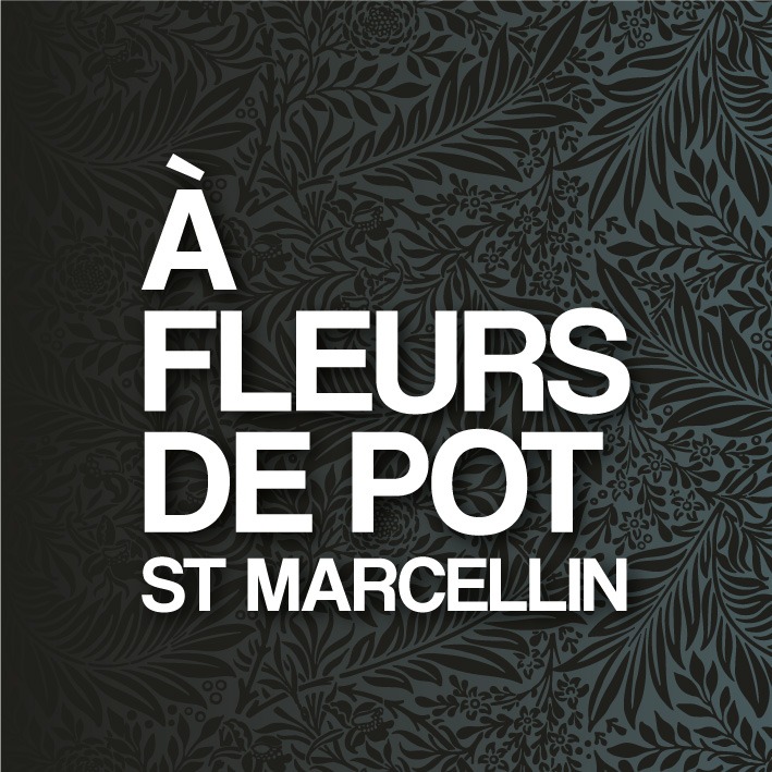 A FLEURS DE POT st marcellin
