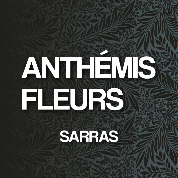 ANTHEMIS sarras