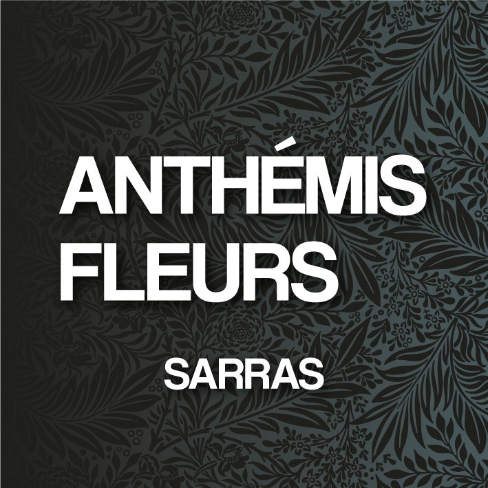 ANTHÉMIS fleurs fleuriste à Sarras