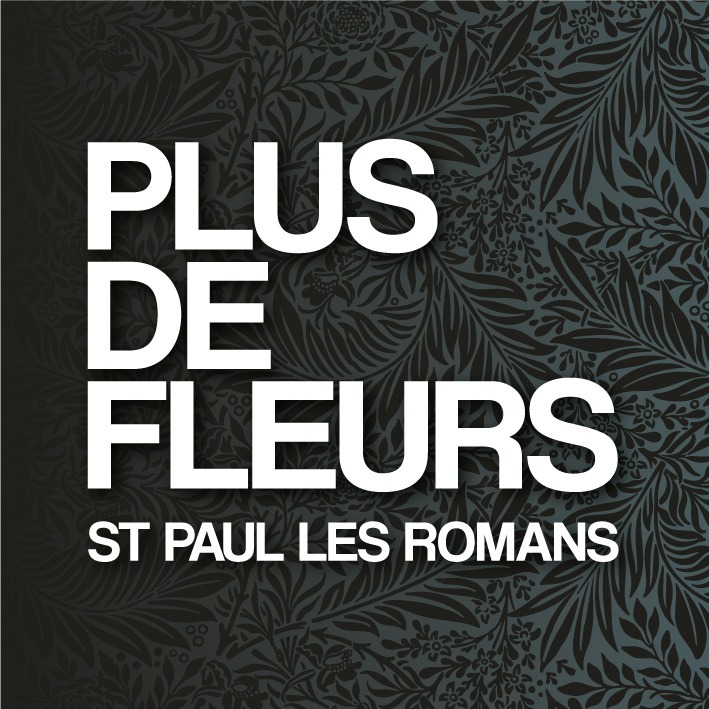 PLUS DE FLEURS fleuriste st paul les romans