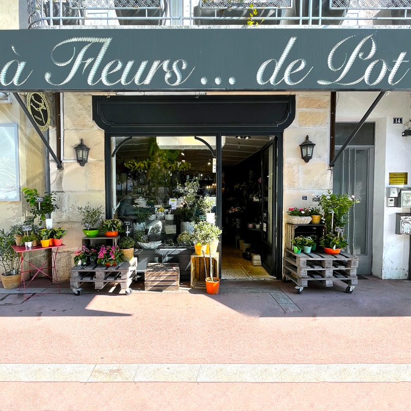 À fleurs de pot
