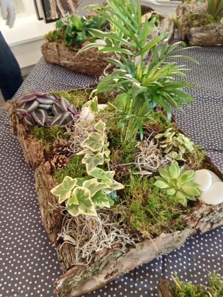 terrarium