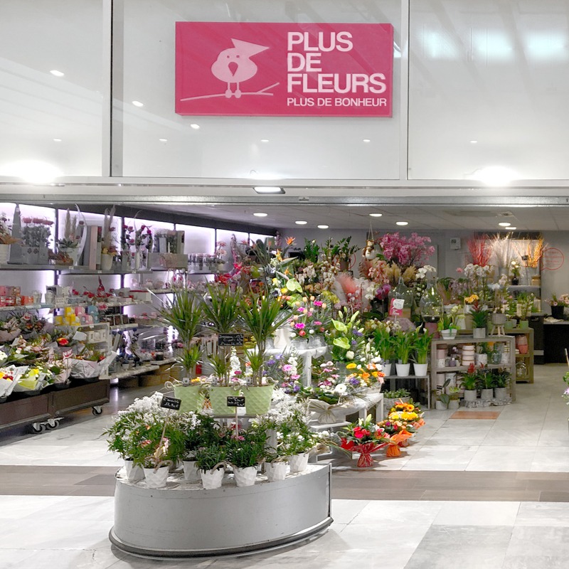fleuriste PLUSDEFLEURS St Paul