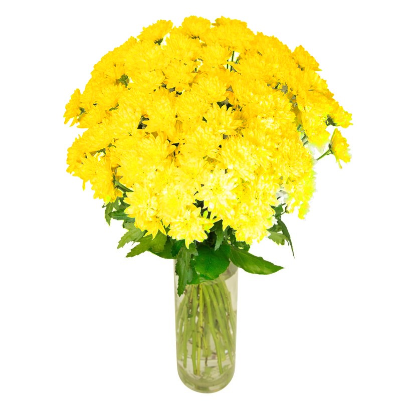 Bouquet de Chrysanthèmes Tokyos jaunes