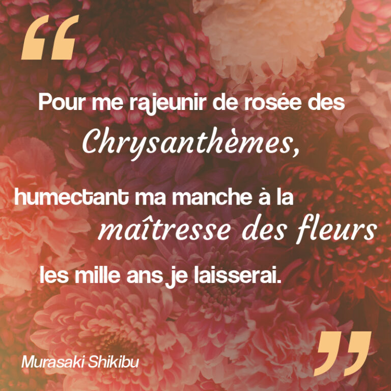 chrysanthème citation