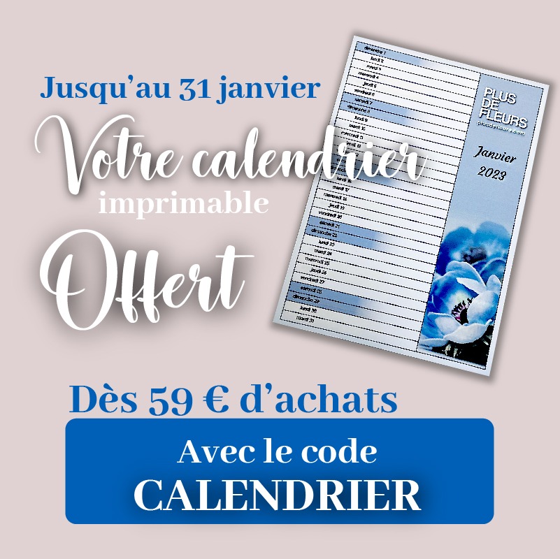 calendrier des fleurs 2023 offert