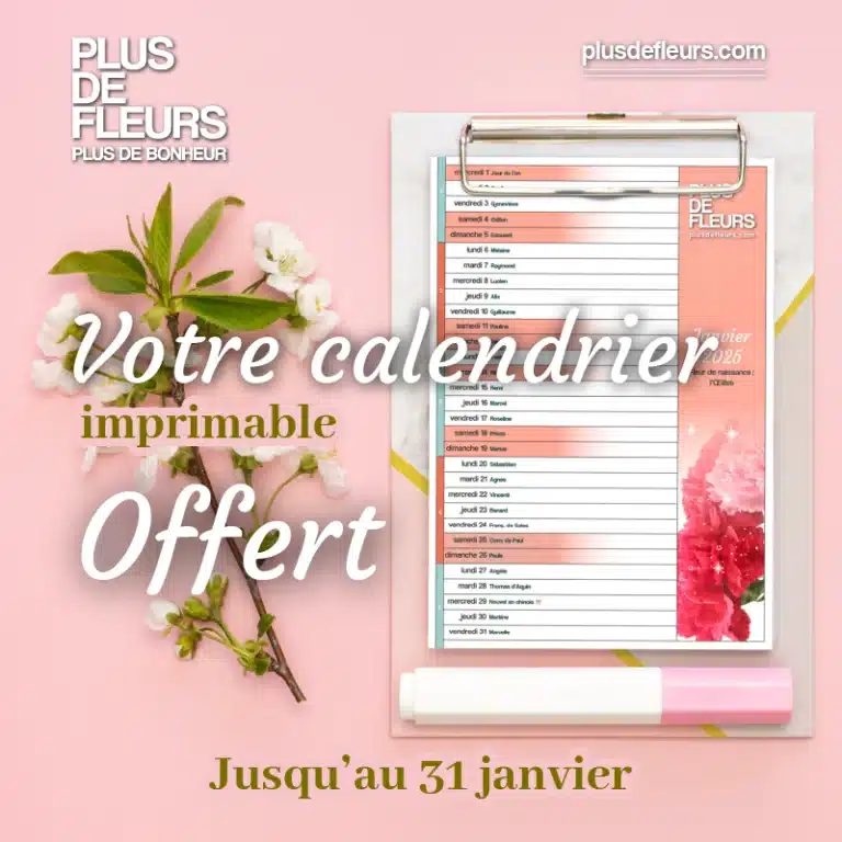 calendrier 2025 plus de fleurs