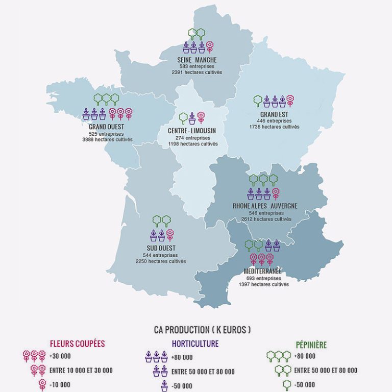 Carte des fleurs de France par région