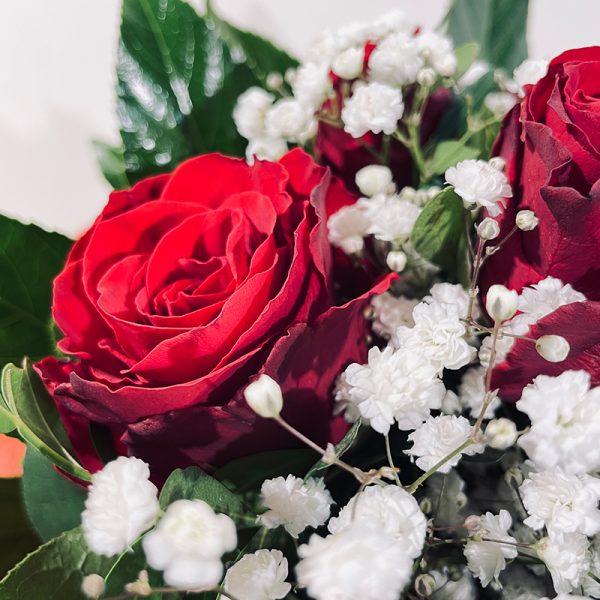 Roses rouges velours bouquet bulle d'eau saint Valentin