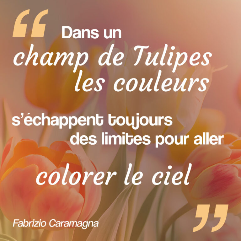 tulipe citation