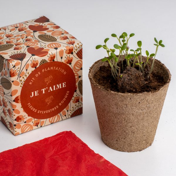 Je t'aime Kit de plantation