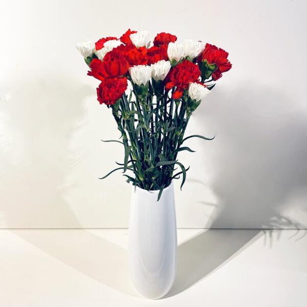 bouquet d'oeillets rouges et blancs mamie