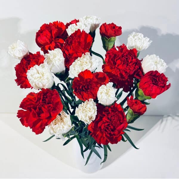 bouquet d'oeillets rouges et blancs mamie