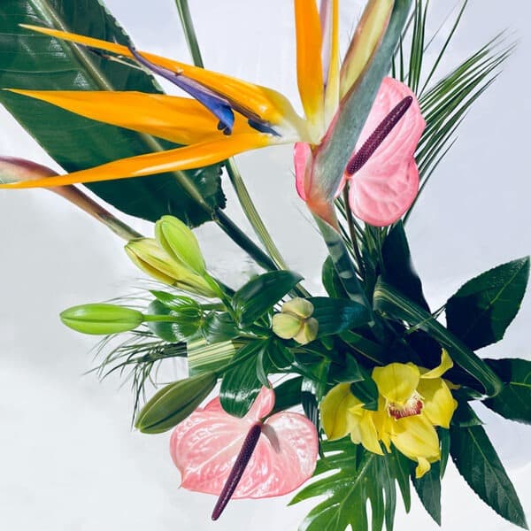 bouquet en hauteur paradis strelitzia