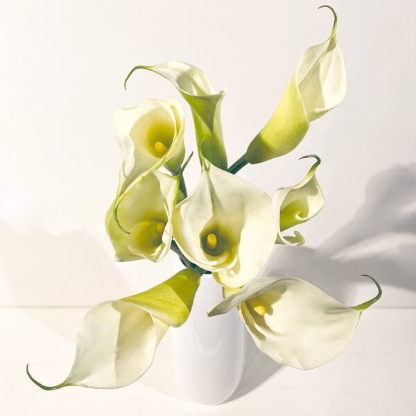 bouquet uniflor arum blanc
